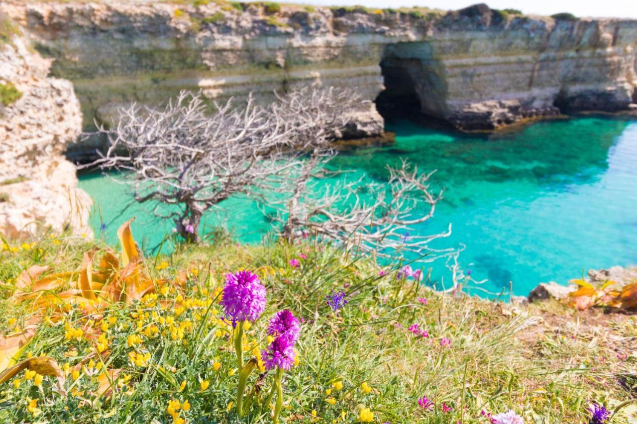 Casa Vacanze Frida In Salento Otranto Exteriér fotografie